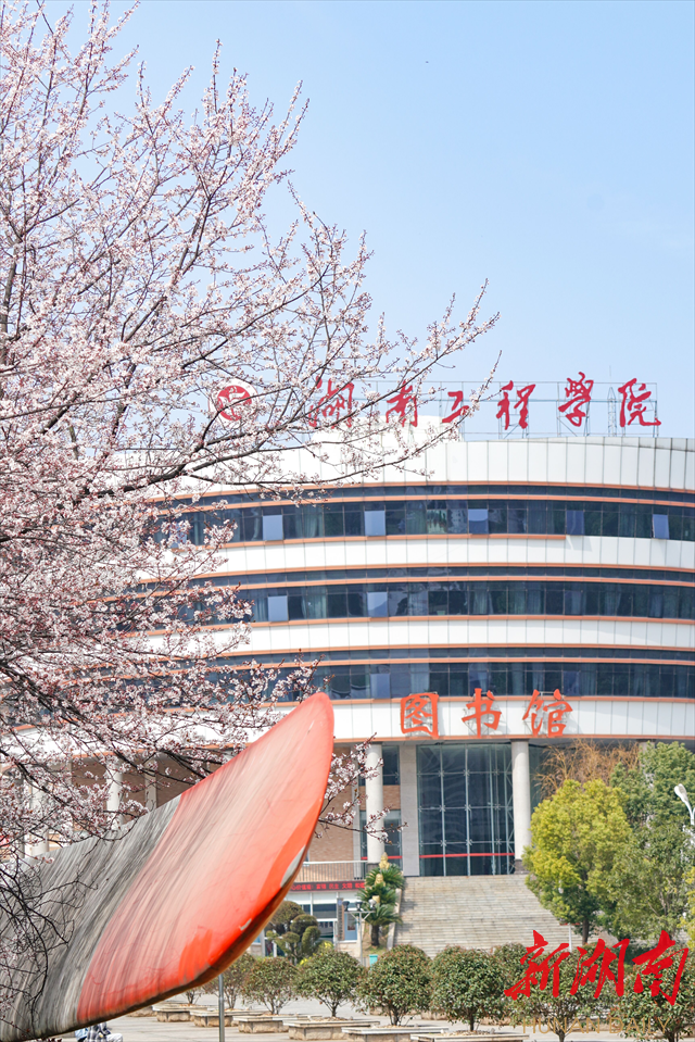 beat365英国官网网站紫叶李花开惹人醉