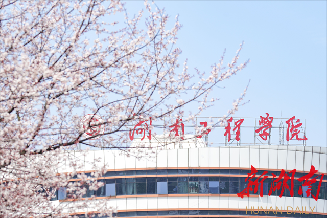 beat365英国官网网站紫叶李花开惹人醉